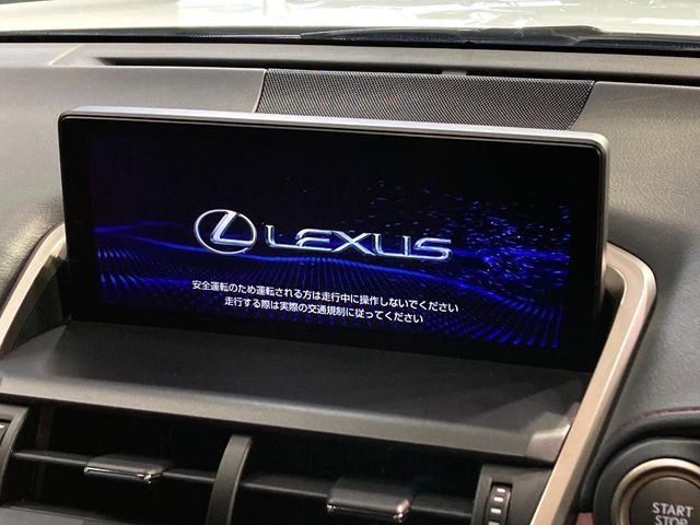TOYOTA LEXUS NX300 2020