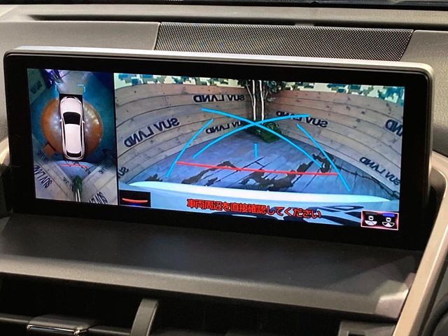 TOYOTA LEXUS NX300 2020