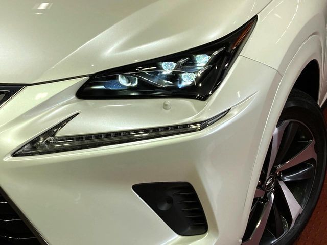 TOYOTA LEXUS NX300 2020