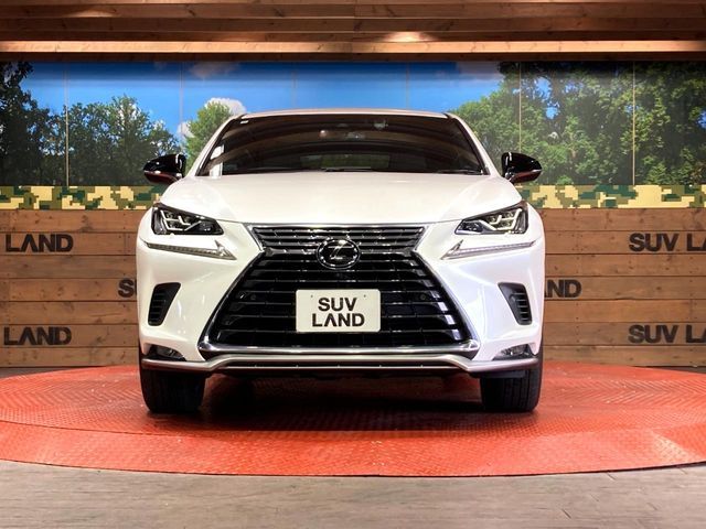TOYOTA LEXUS NX300 2020
