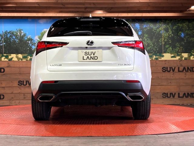 TOYOTA LEXUS NX300 2020