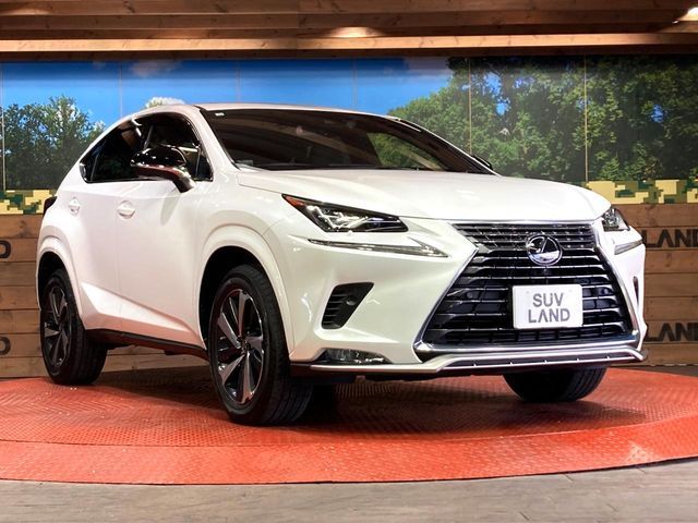 TOYOTA LEXUS NX300 2020