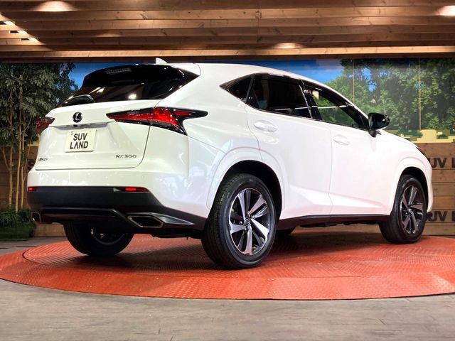 TOYOTA LEXUS NX300 2020