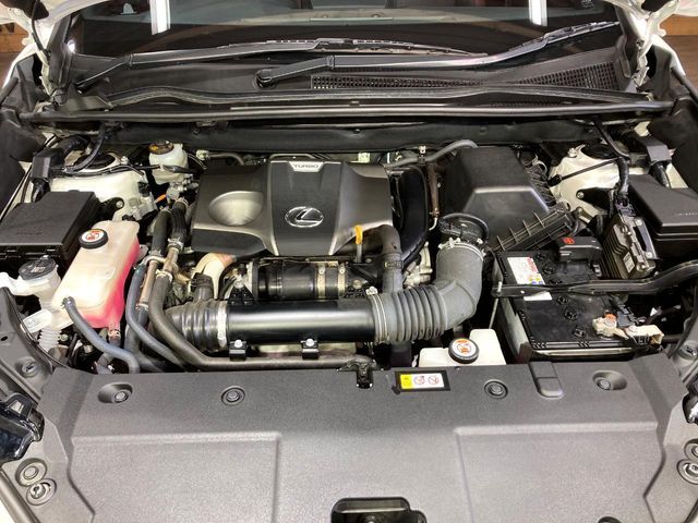 TOYOTA LEXUS NX300 2020