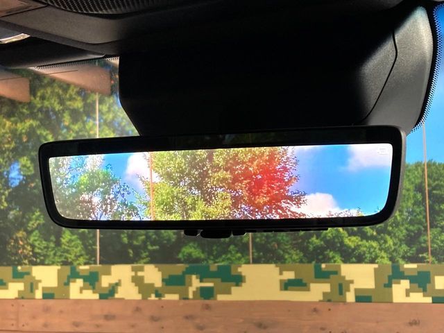 TOYOTA LANDCRUISER 250 2024