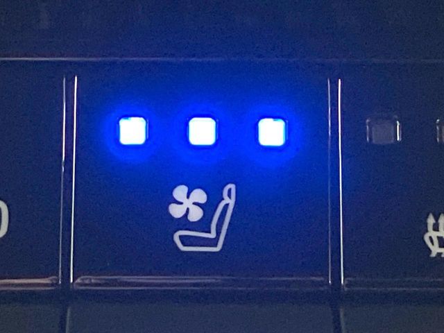 TOYOTA LANDCRUISER 250 2024