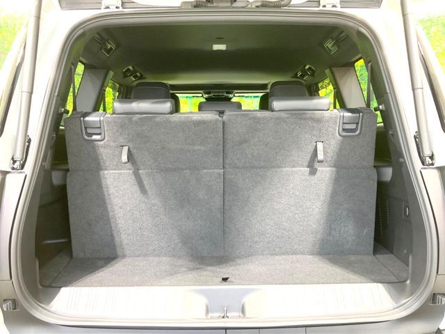 TOYOTA LANDCRUISER 250 2024