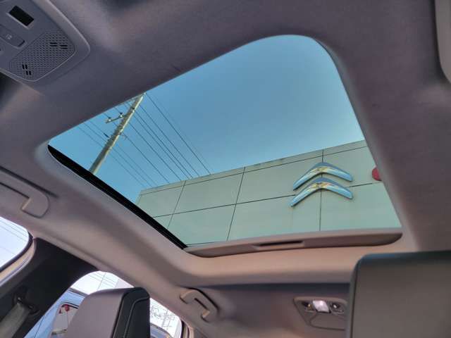 CITROEN CITROEN E-C4 2024