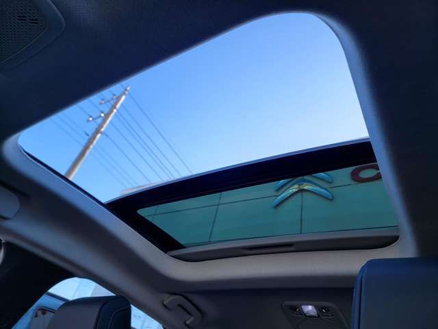 CITROEN CITROEN E-C4 2024