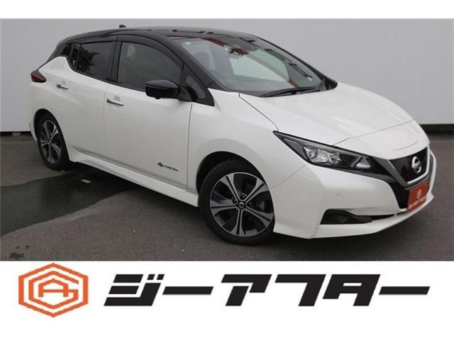 NISSAN LEAF 2020
