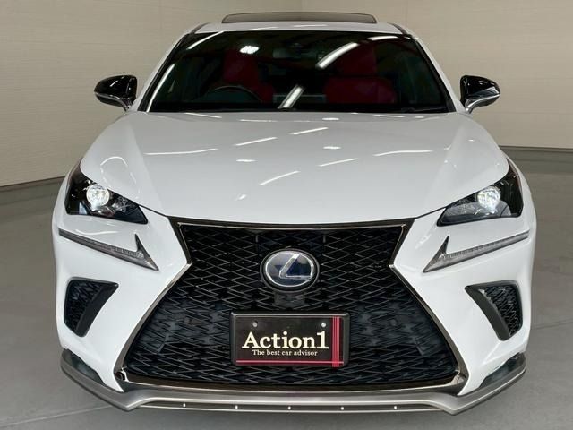 TOYOTA LEXUS NX300h 2018