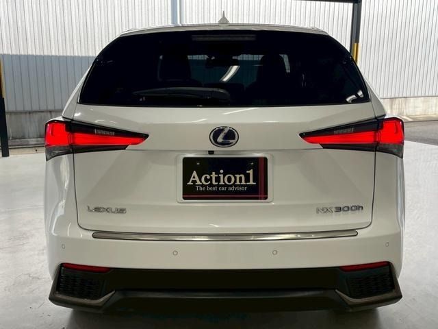 TOYOTA LEXUS NX300h 2018