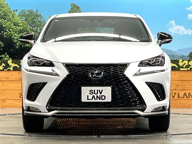 TOYOTA LEXUS NX300 2017