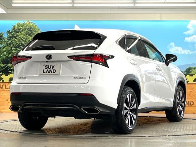 TOYOTA LEXUS NX300 2017