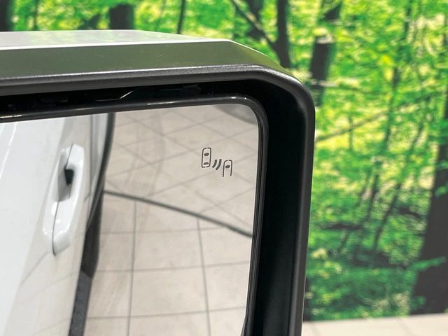 TOYOTA LANDCRUISER 250 2024