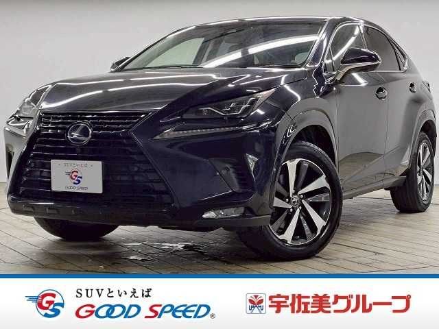 TOYOTA LEXUS NX300h 2018