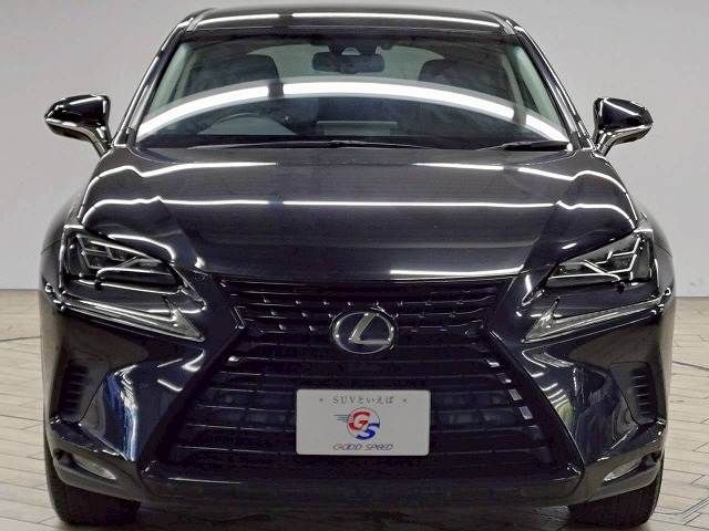 TOYOTA LEXUS NX300h 2018
