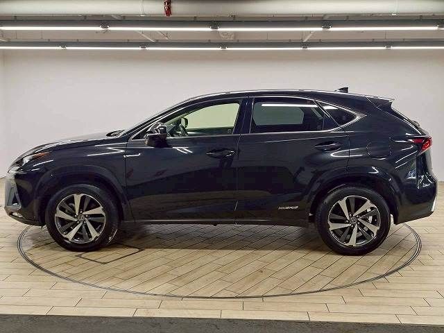 TOYOTA LEXUS NX300h 2018
