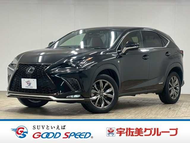TOYOTA LEXUS NX300h 2020