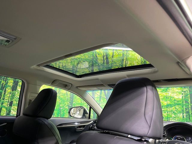 TOYOTA LEXUS NX300h AWD 2016