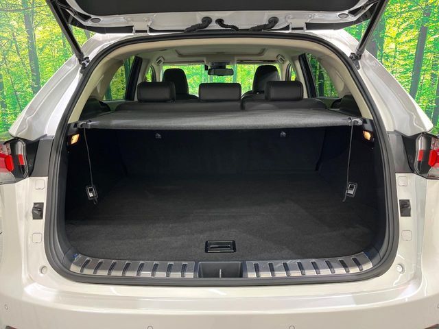 TOYOTA LEXUS NX300h AWD 2016