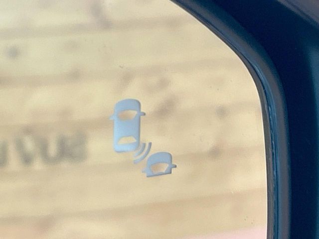 HONDA VEZEL e:HEV 2025