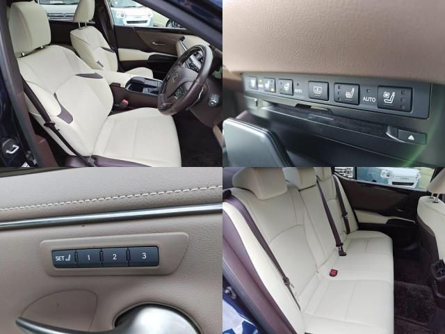 TOYOTA LEXUS ES300h 2021