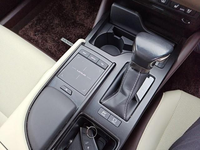 TOYOTA LEXUS ES300h 2021