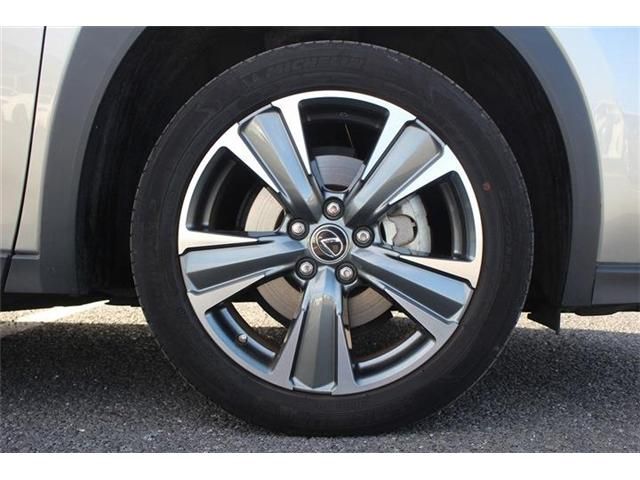 TOYOTA LEXUS UX300e 2021