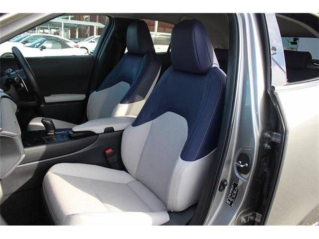 TOYOTA LEXUS UX300e 2021