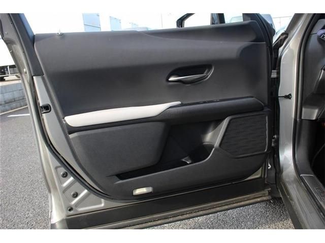 TOYOTA LEXUS UX300e 2021