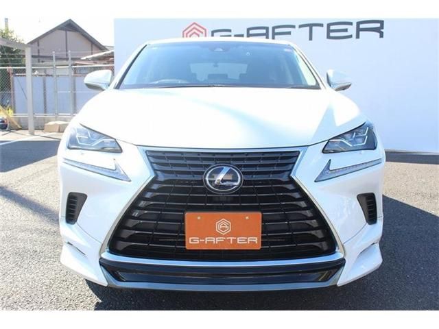 TOYOTA LEXUS NX300h 2018