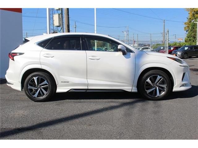TOYOTA LEXUS NX300h 2018