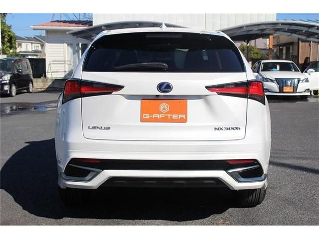 TOYOTA LEXUS NX300h 2018