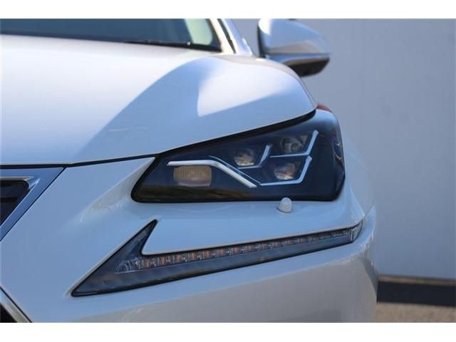 TOYOTA LEXUS NX300h 2018