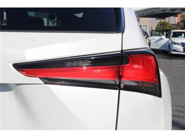 TOYOTA LEXUS NX300h 2018