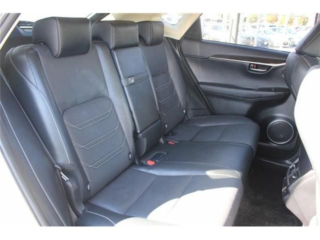 TOYOTA LEXUS NX300h 2018