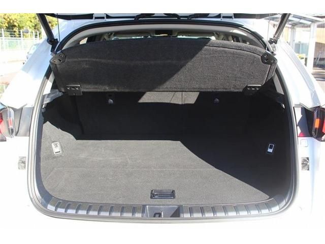 TOYOTA LEXUS NX300h 2018