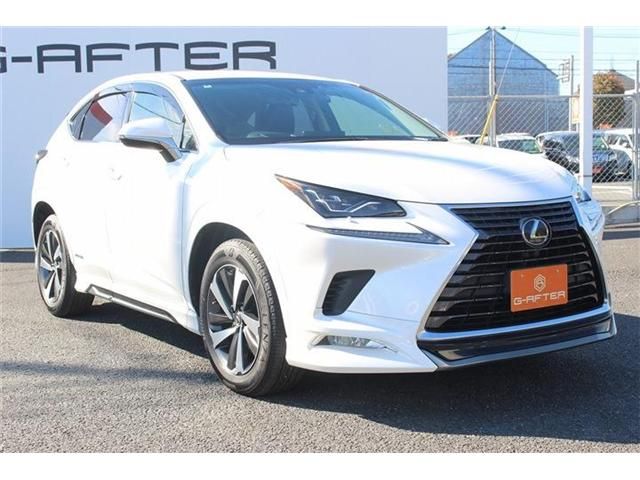TOYOTA LEXUS NX300h 2018