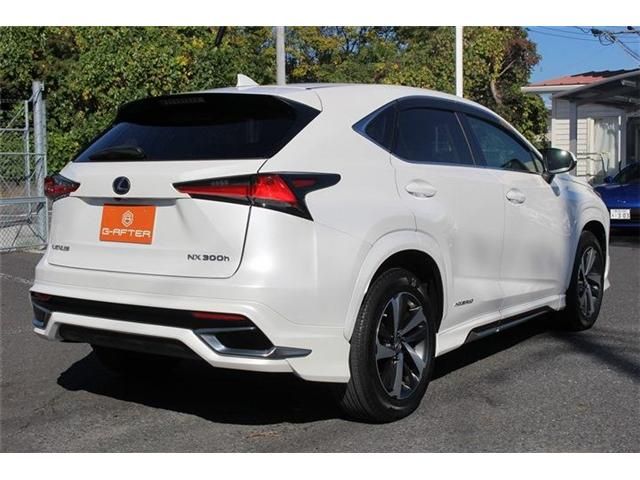 TOYOTA LEXUS NX300h 2018