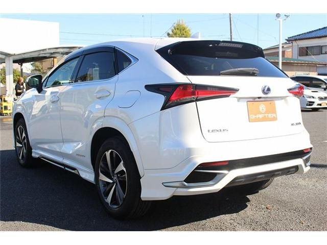 TOYOTA LEXUS NX300h 2018