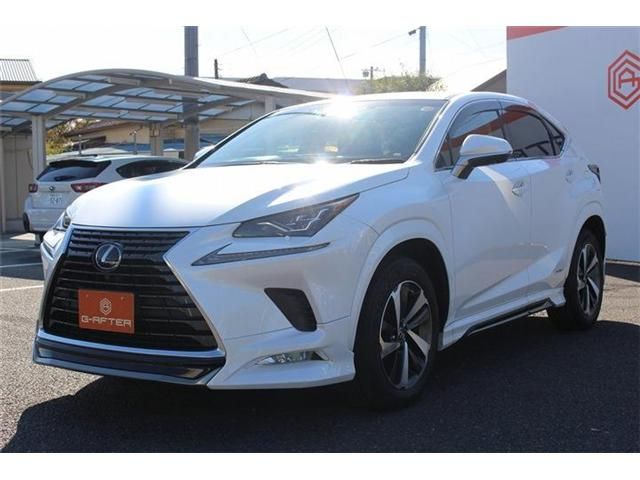 TOYOTA LEXUS NX300h 2018