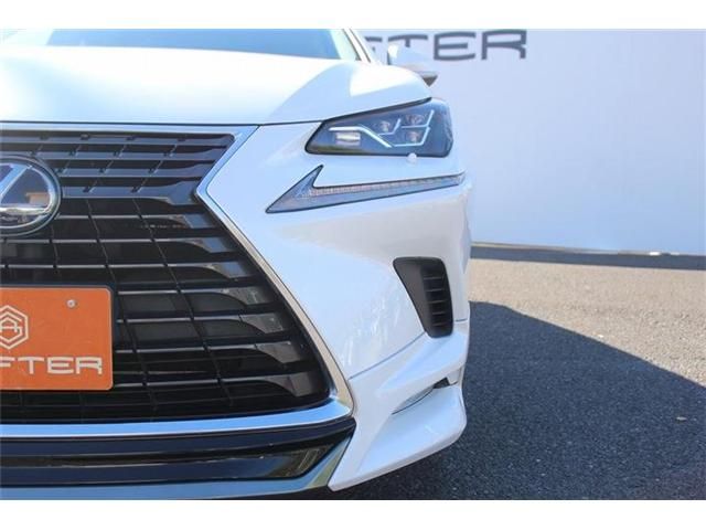 TOYOTA LEXUS NX300h 2018