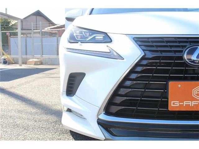 TOYOTA LEXUS NX300h 2018