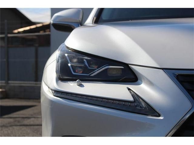 TOYOTA LEXUS NX300h 2018