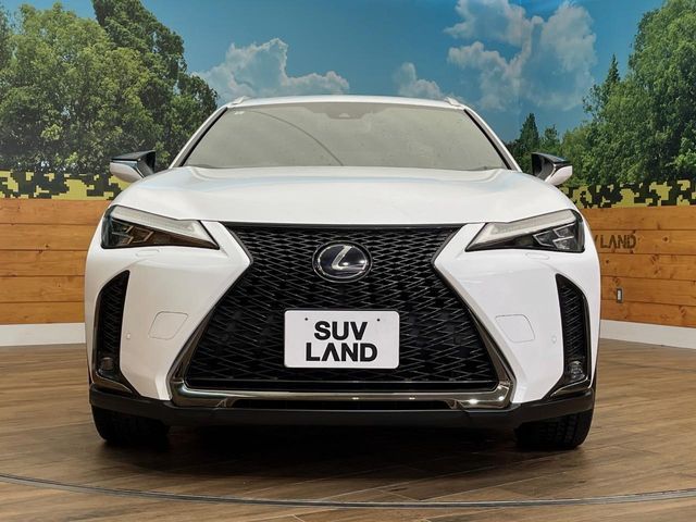 TOYOTA LEXUS UX250h AWD 2019