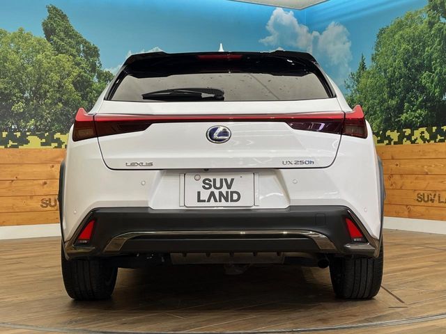 TOYOTA LEXUS UX250h AWD 2019