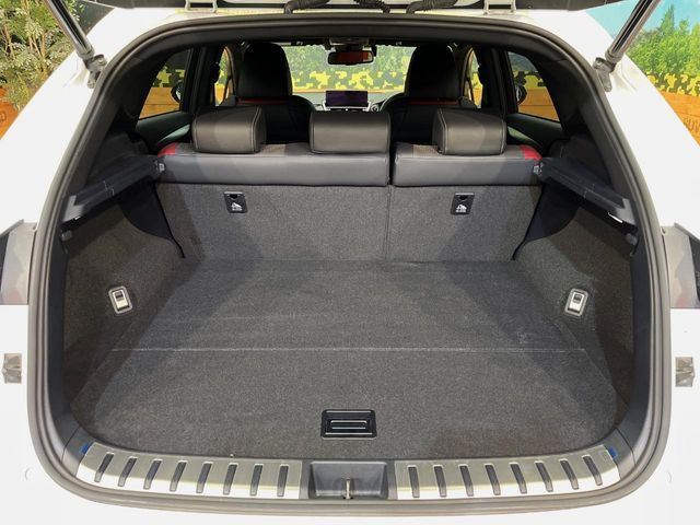 TOYOTA LEXUS NX300h AWD 2019