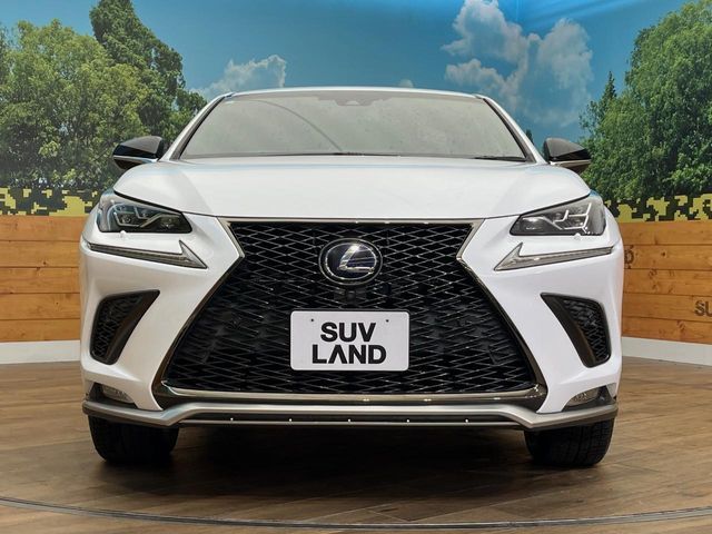 TOYOTA LEXUS NX300h AWD 2019