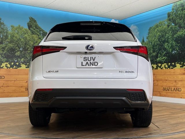 TOYOTA LEXUS NX300h AWD 2019
